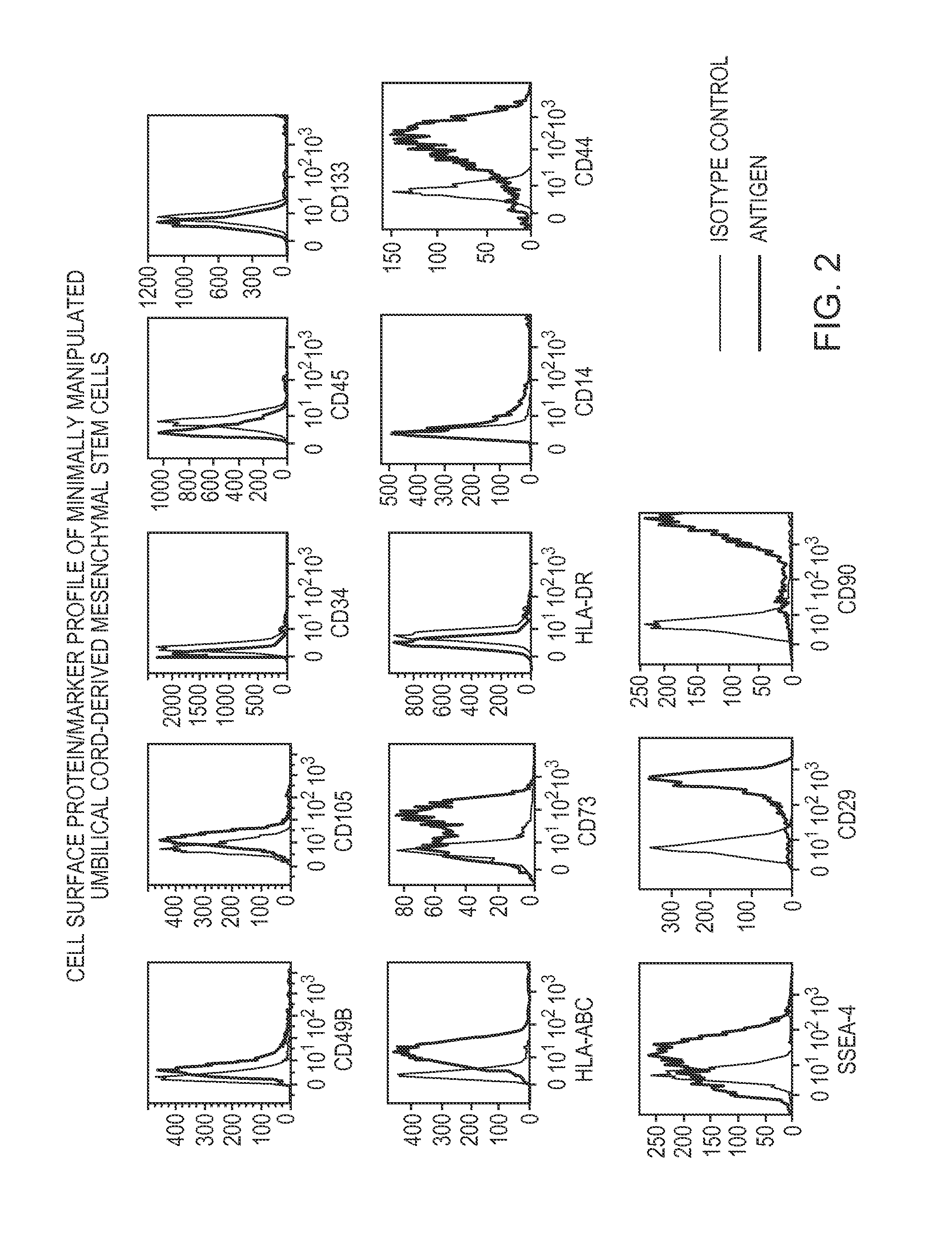 Native wharton's jelly stem cells and their purification