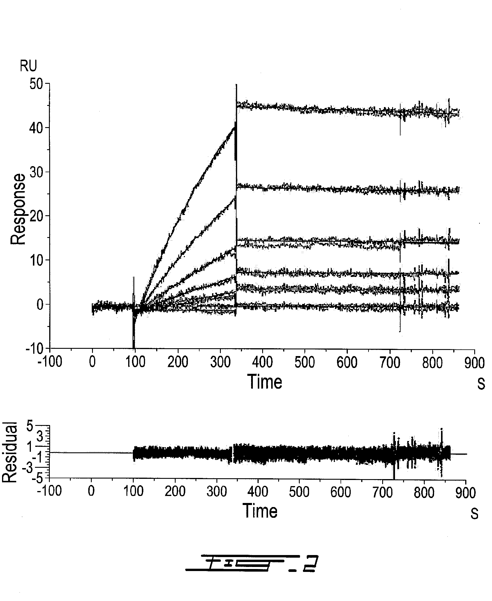 Prostate specific membrane antigen antibodies and antigen binding fragments