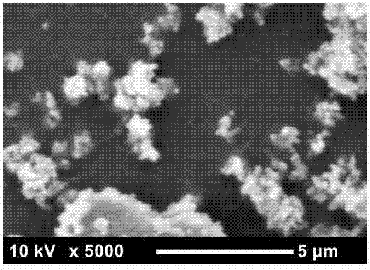 A kind of preparation method of ceramic coating diaphragm