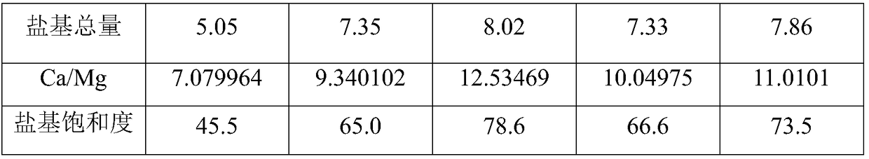 Paddy fertilizer for efficiently improving acid paddy soil