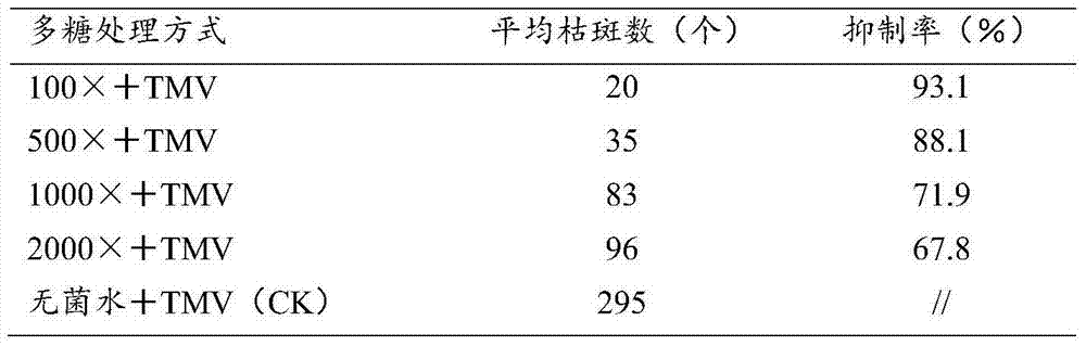 Special marine biological fertilizer for tobacco as well as preparation method and application of fertilizer