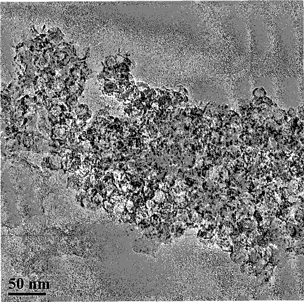 Mesoporous carbon immobilized enzyme biological sensing material doped with nitrogen and preparing method thereof