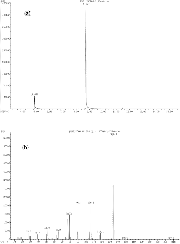 Formamide preparation method