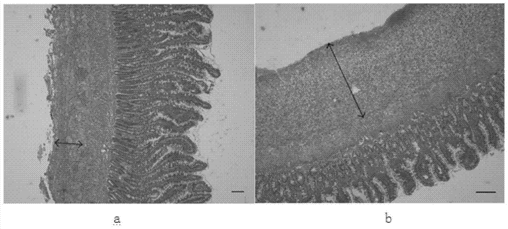 Polypropylene mesh/electrospinning nanofiber membrane and its preparation method and application