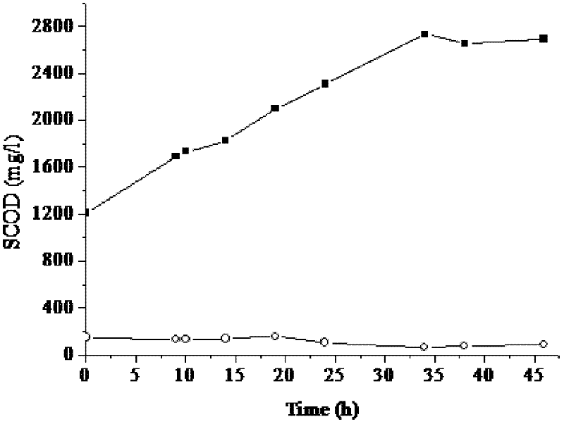 Method for pretreating excess sludge by adopting bio-augmentation technology