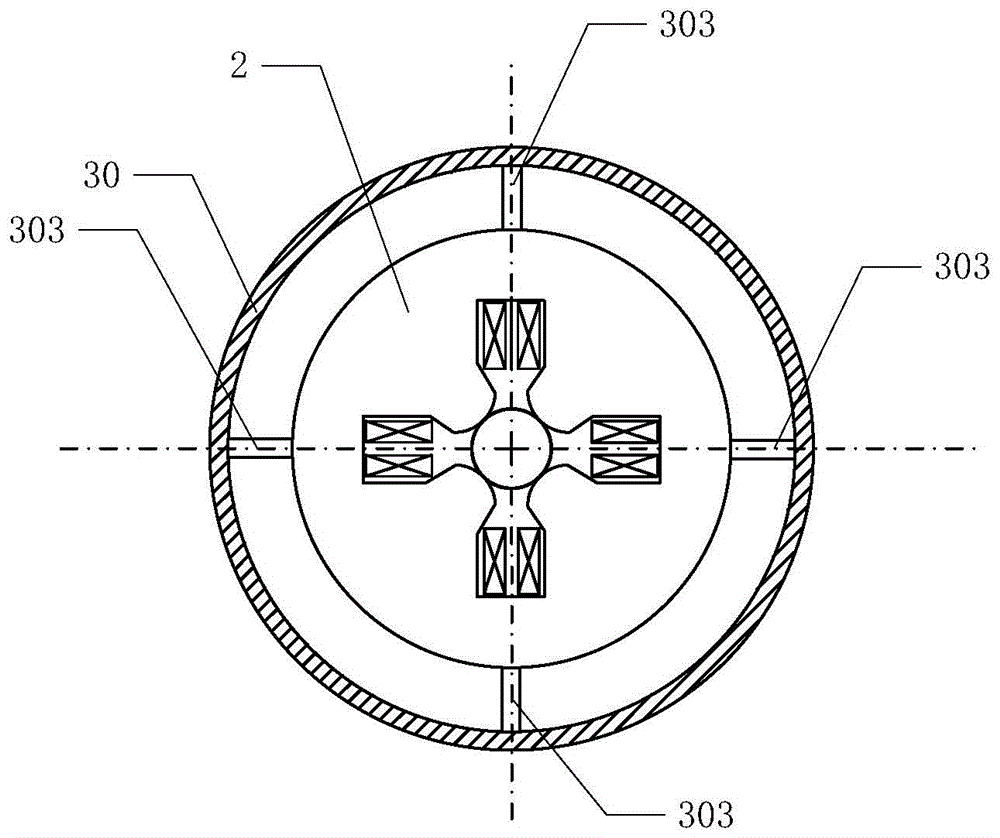 An ion transport device