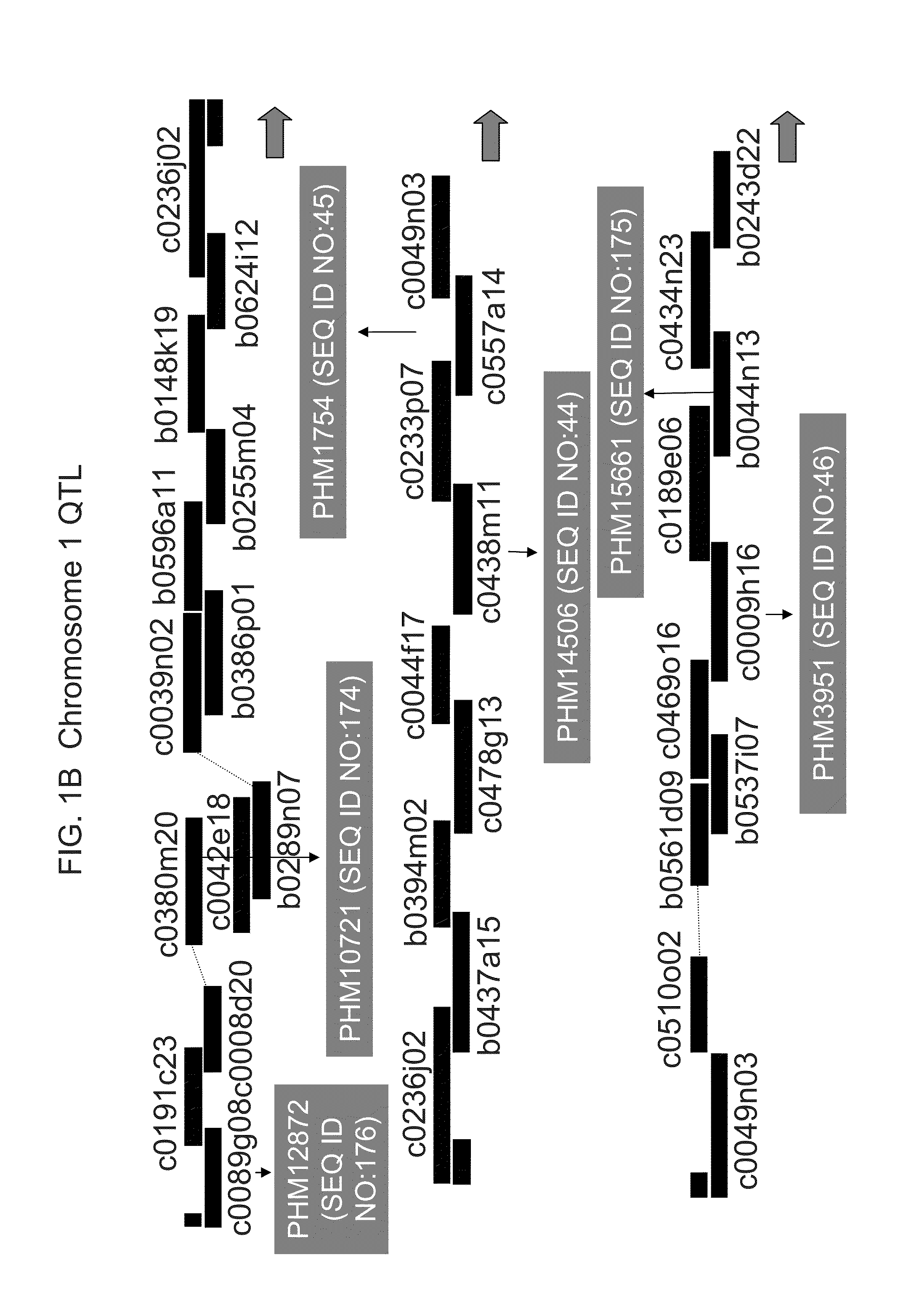 Genetic loci associated with fusarium ear mold resistance in maize