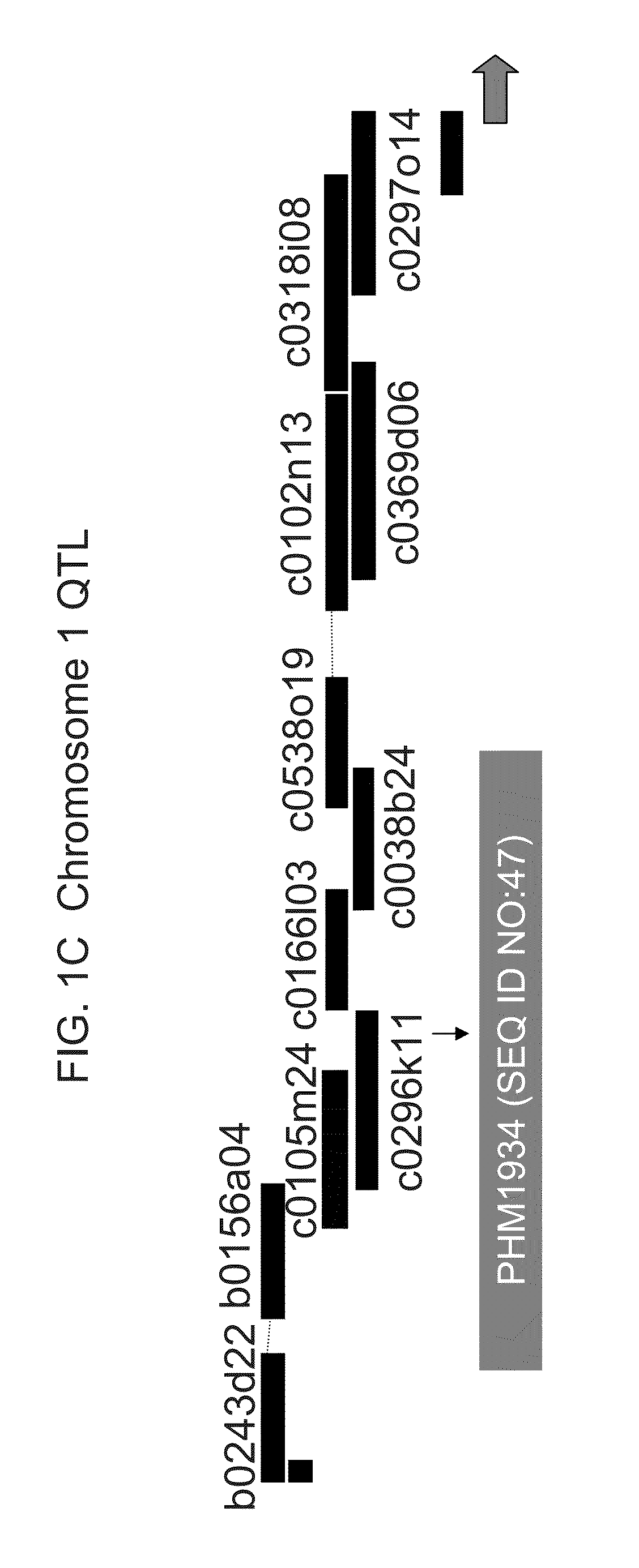 Genetic loci associated with fusarium ear mold resistance in maize