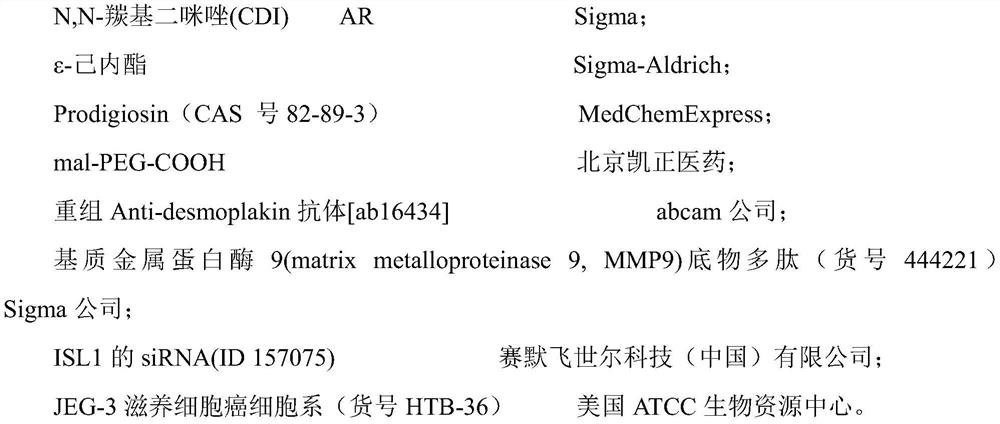 MMP enzyme sensitive placenta microenvironment and tumor microenvironment targeting vector as well as preparation method and application thereof