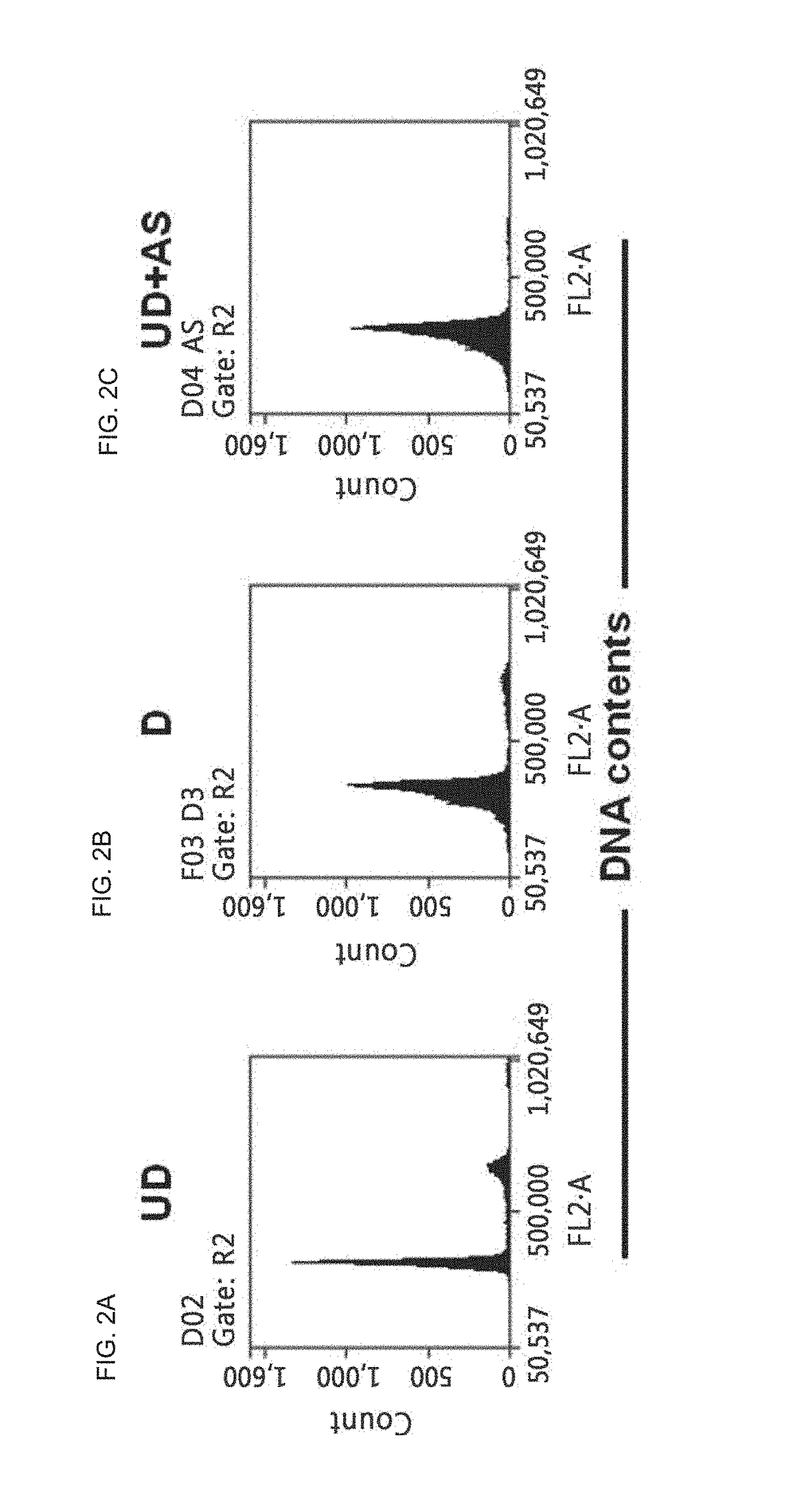 Composition for inducing differentiation of multipotent neural stem cells into dopaminergic neurons and method for inducing differentiation of multipotent neural stem cells into dopaminergic neurons by using the same