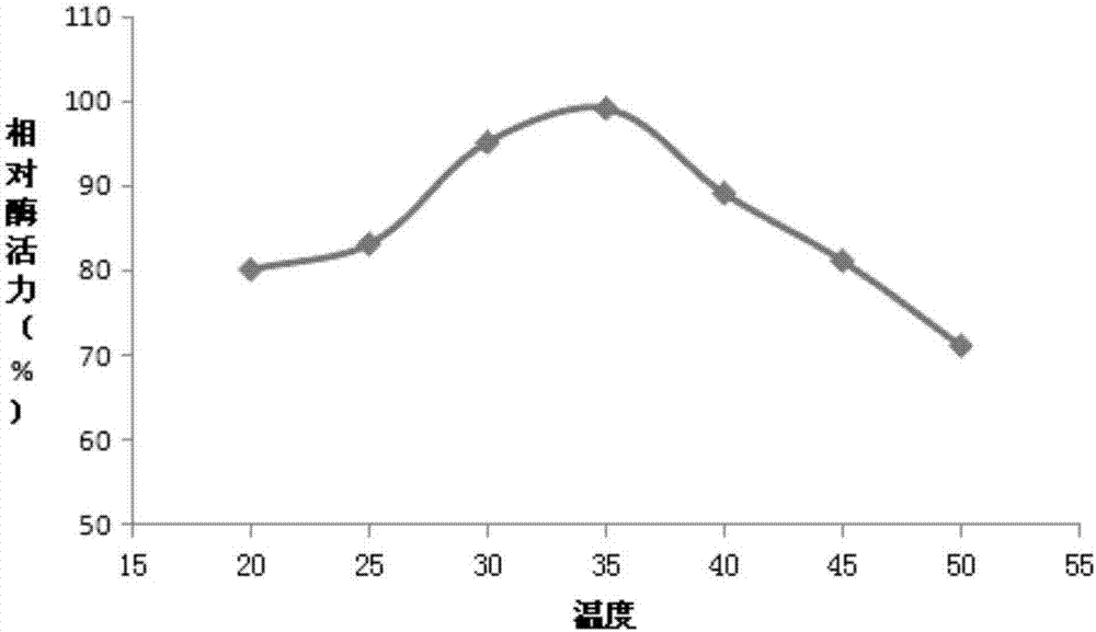 Pseudomonas of high yield lipase and enzyme production method by fermentation of pseudomonas