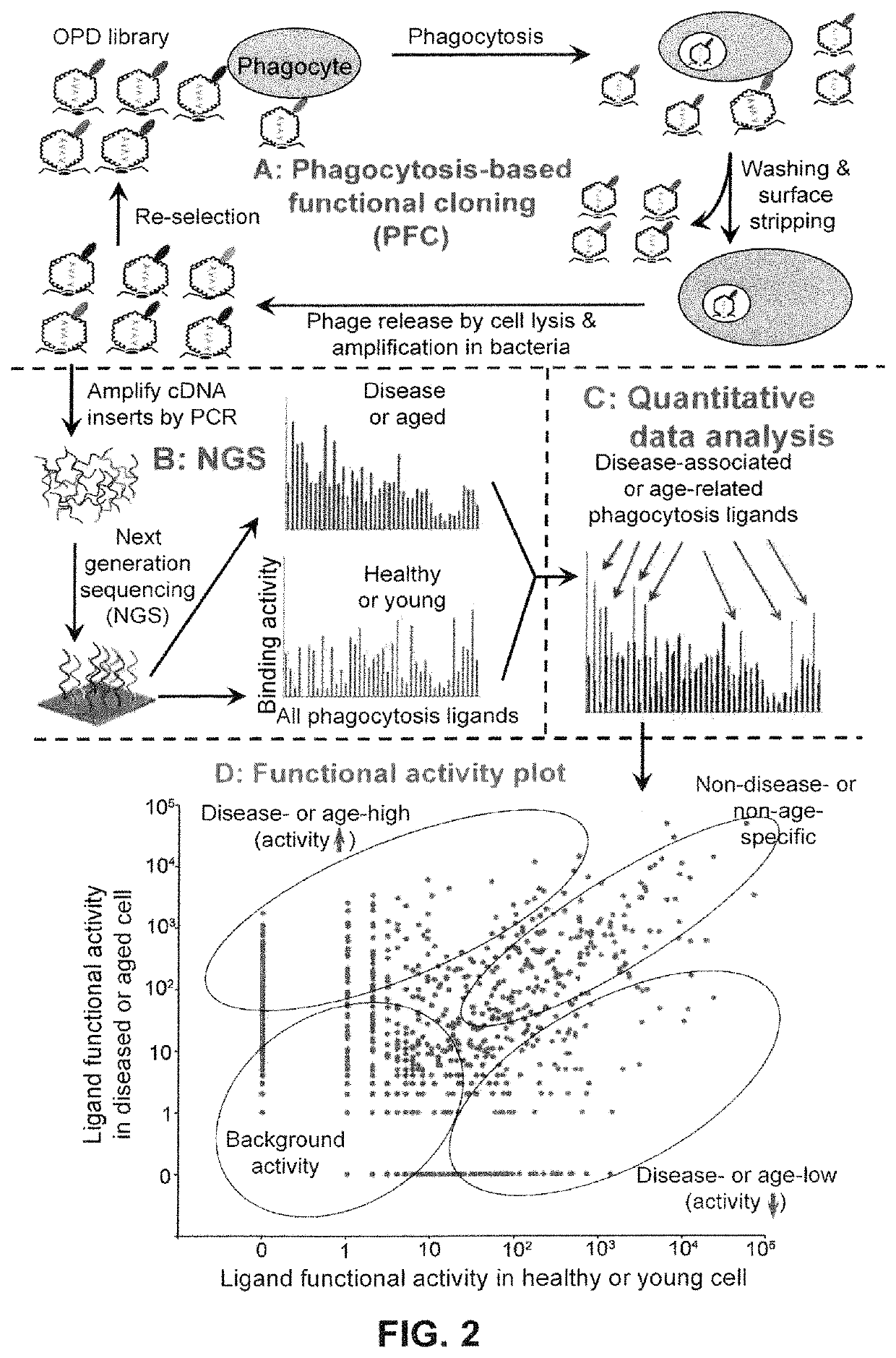 Quantitative ligandomics for systematic identification of therapeutic ligands