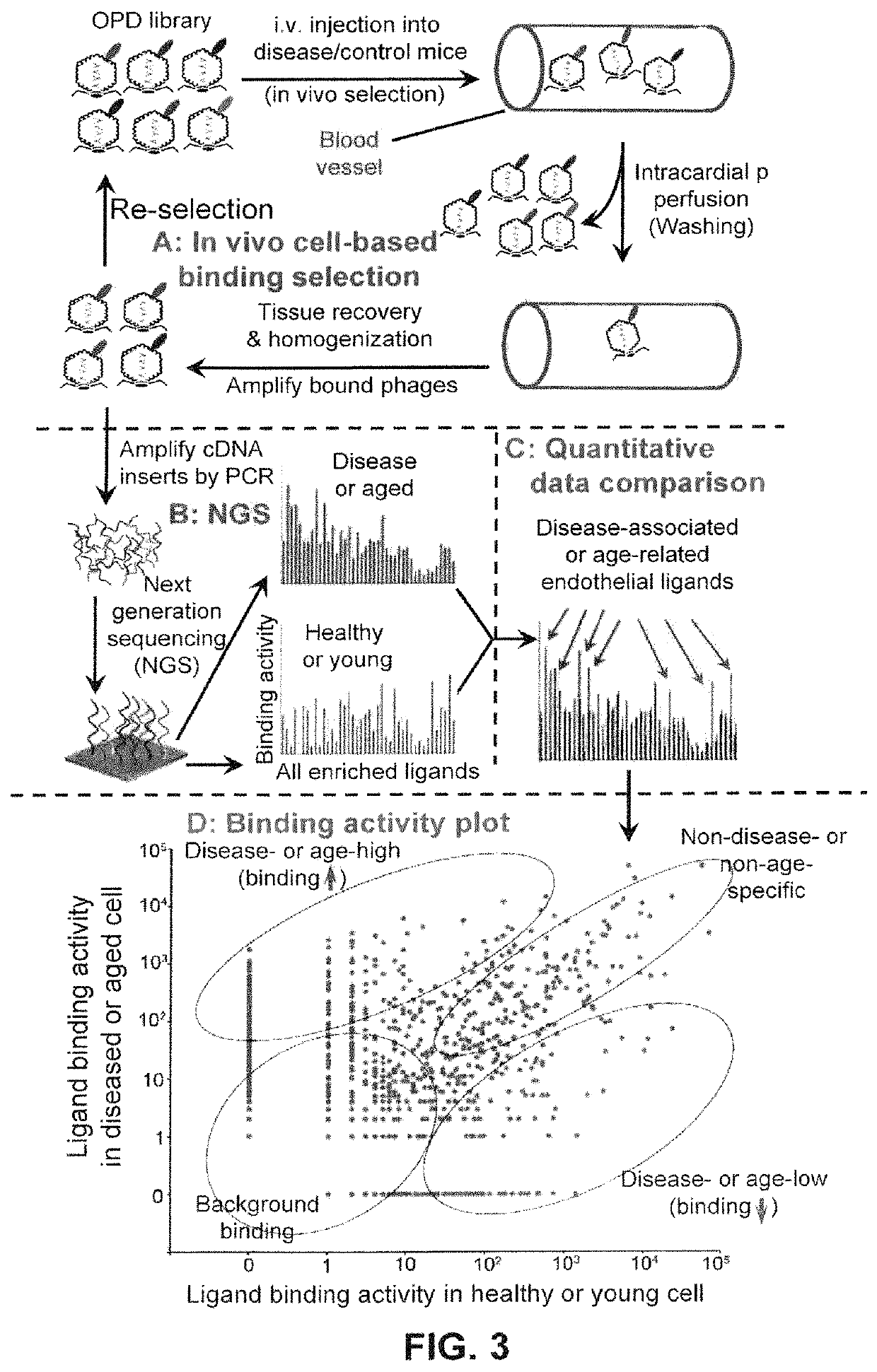 Quantitative ligandomics for systematic identification of therapeutic ligands