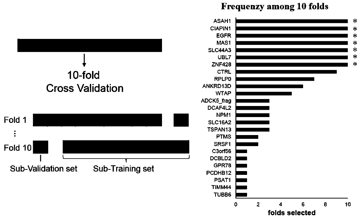 Autoantibody 7-AAb detection panel for hepatocellular carcinoma and application of autoantibody 7-AAb detection panel