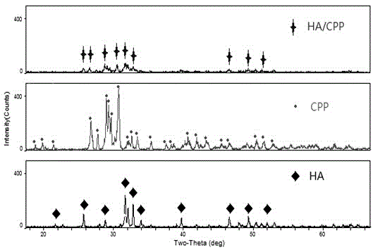 Method for preparing porous hydroxyapatite/calcium pyrophosphate compound bone repair material