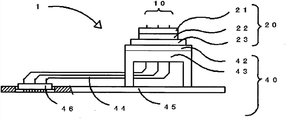 Inspection jig and contact