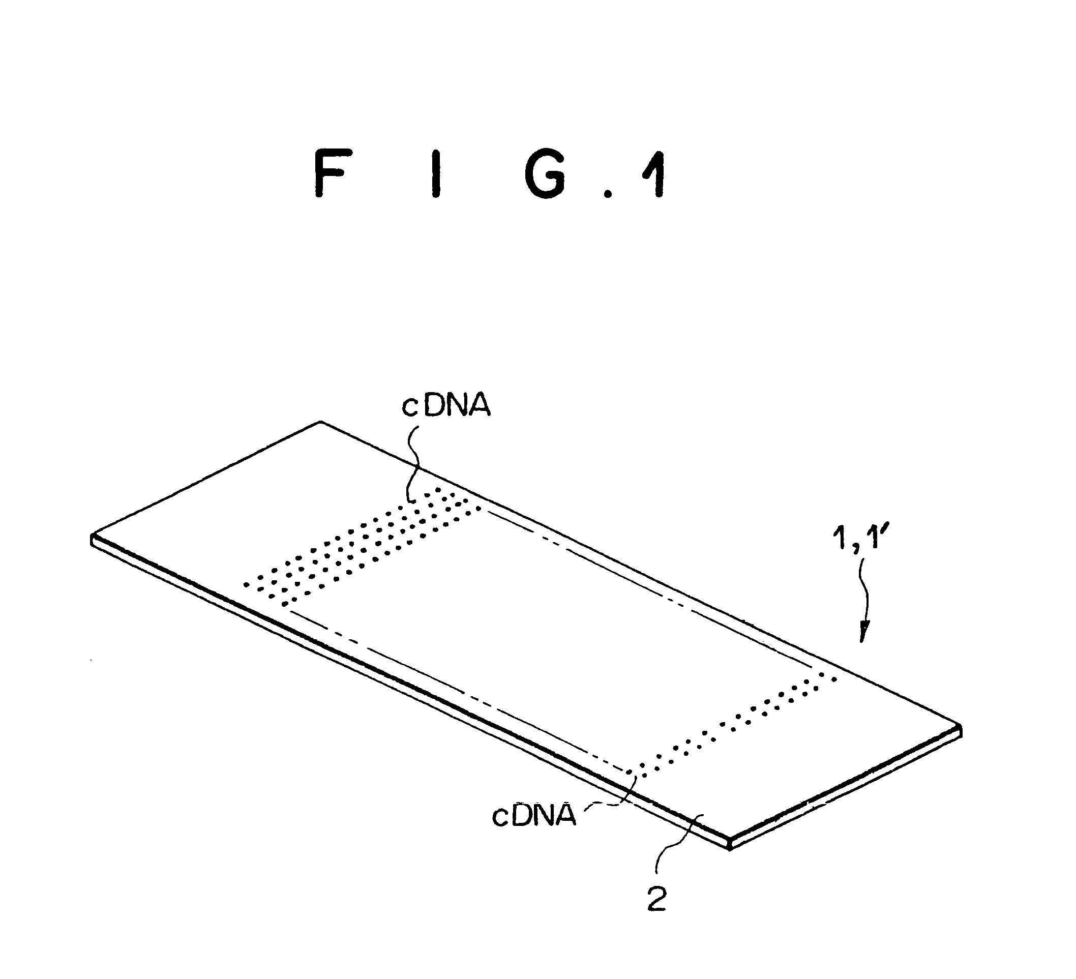 Method and apparatus for selectively displaying measurement result and corresponding images