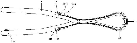 A vibrating tooth extractor