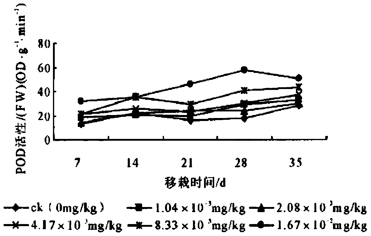 A method for comprehensively improving weeding in tobacco fields and disease resistance of tobacco seedlings and reducing teratogenicity