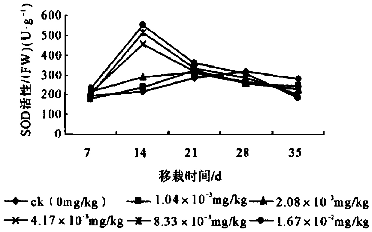 A method for comprehensively improving weeding in tobacco fields and disease resistance of tobacco seedlings and reducing teratogenicity