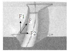 Fine forging forming method of spiral bevel gears