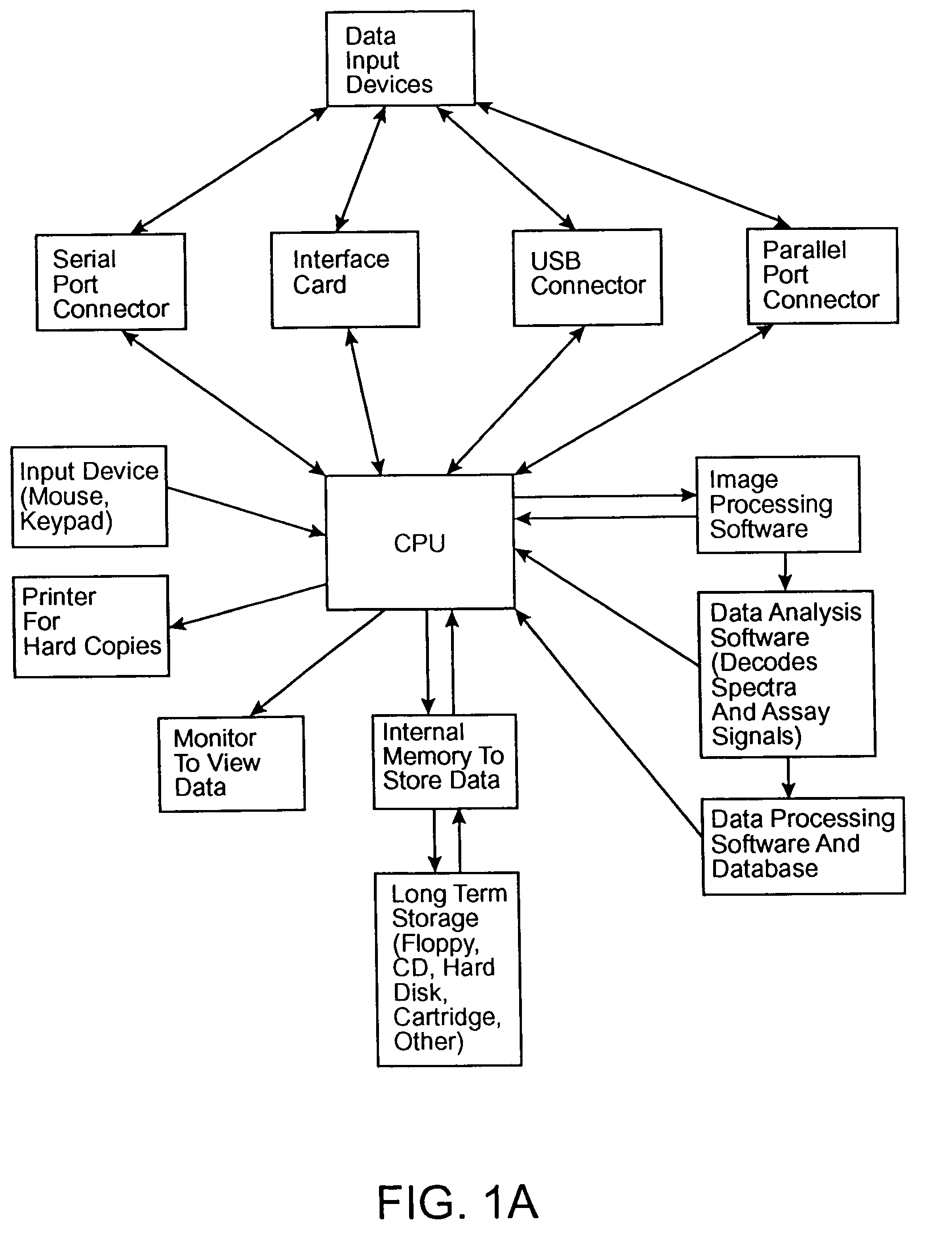 Spatial positioning of spectrally labeled beads