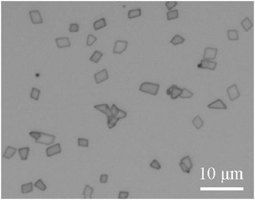 Preparation method of MoS2/MoO2 heterojunction