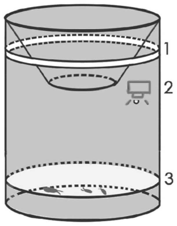 A method for detecting red beetles based on deep learning