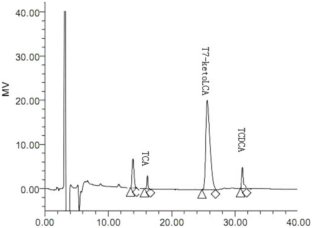 Method for preparing poultry artificial bear gall powder