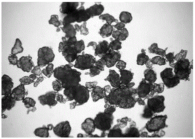 Method for detecting plastic content of marine organism