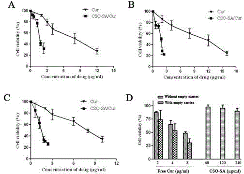 Preparation method and application of curcumin chitosan-stearic acid graft micelle