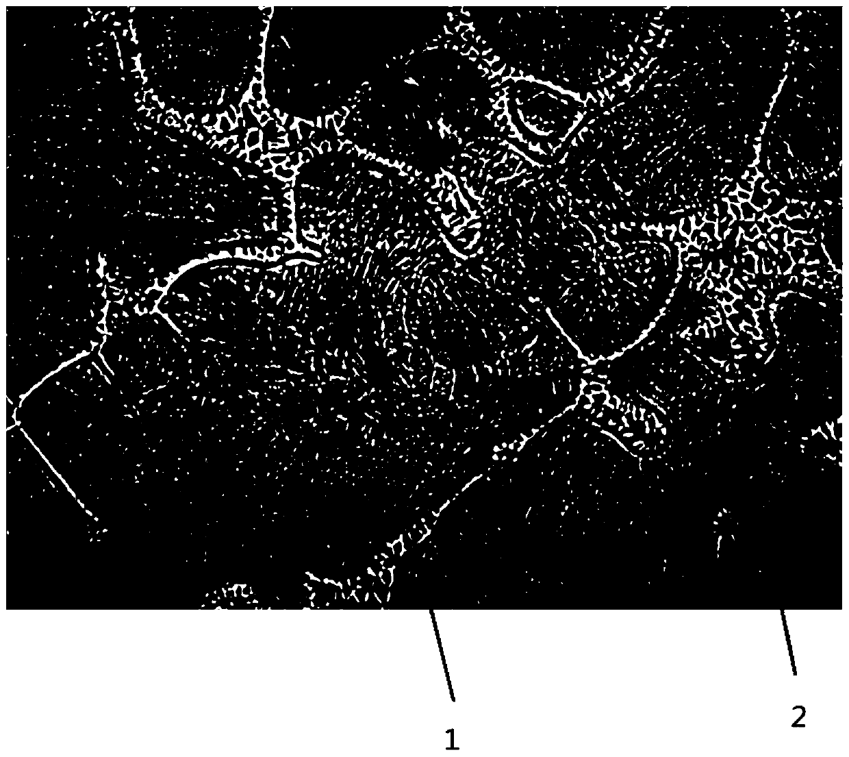 Metallographic corrosive of stainless steel high temperature quenched structure and corrosion method thereof