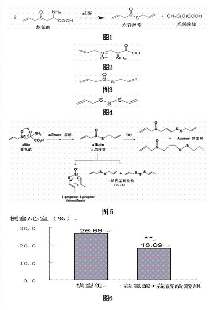 Application of allicin multilayer enteric-coated tablet to prepare medicines treating myocardial infarction disease