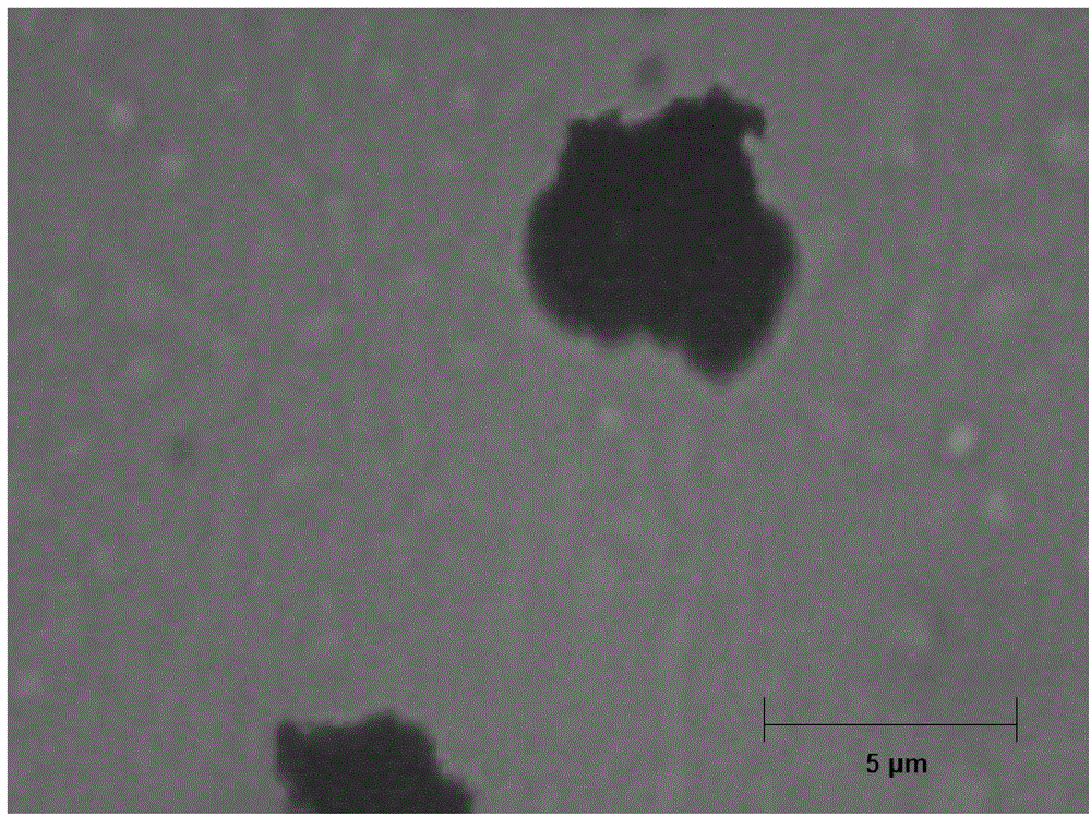 Compositions comprising solid particles encapsulated in a cross-linked silicone matrix, and methods of making the same