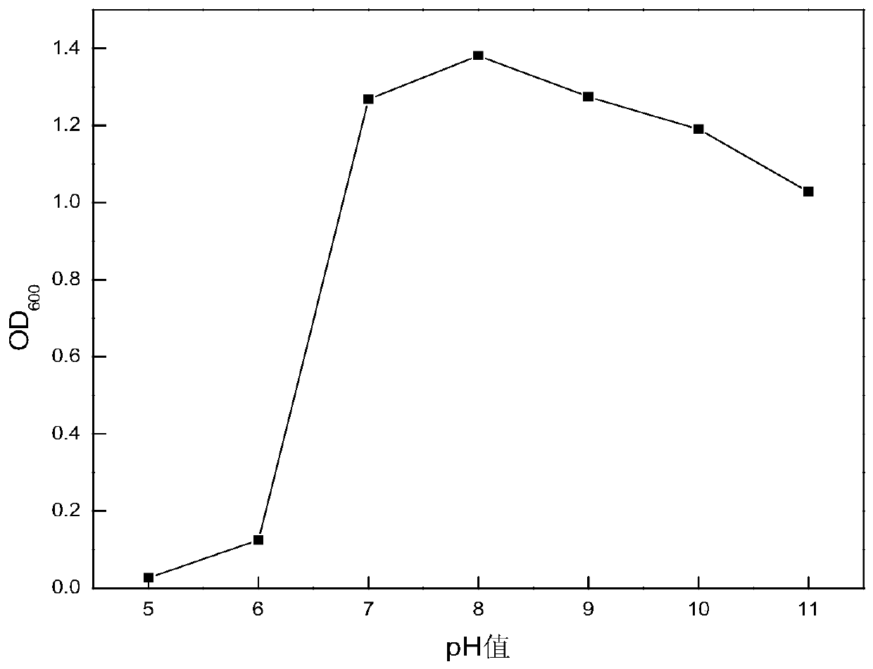 A strain of Bacillus licheniformis resistant to high temperature degradation of crude oil to produce emulsifier and its application