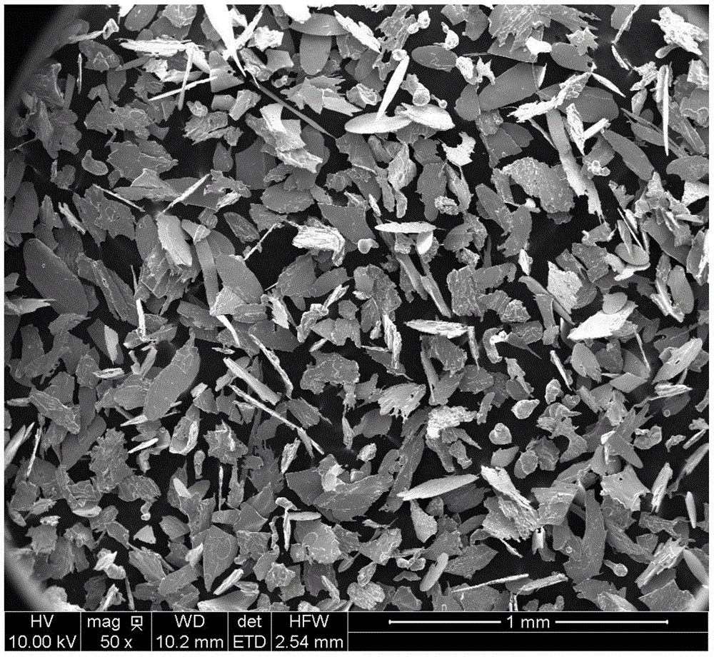 Preparation device and method for flaky powder