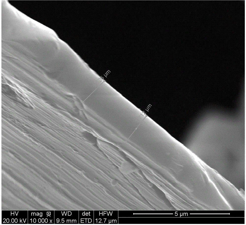 Preparation device and method for flaky powder