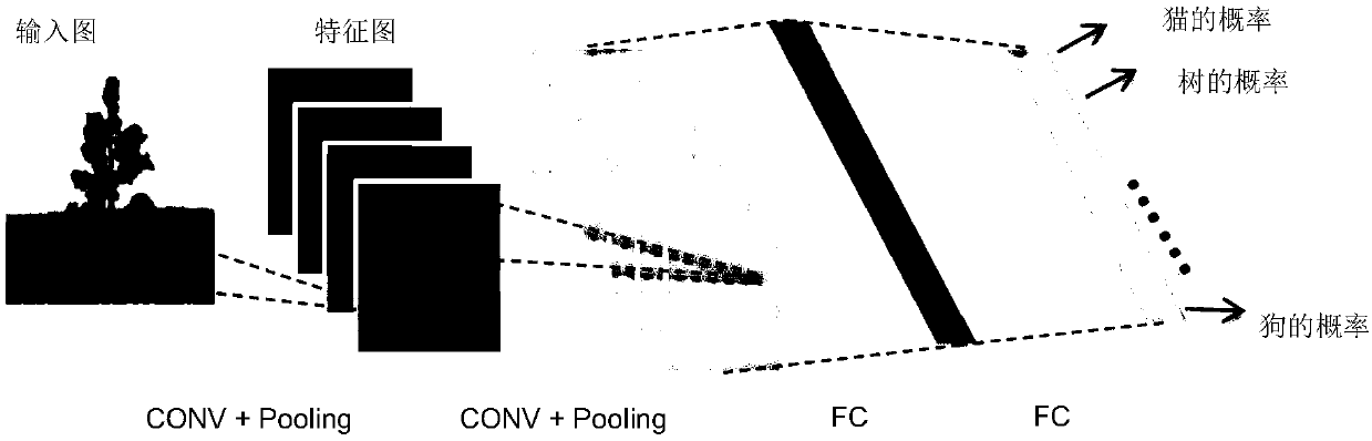 Neural network compiler architecture and compiling method