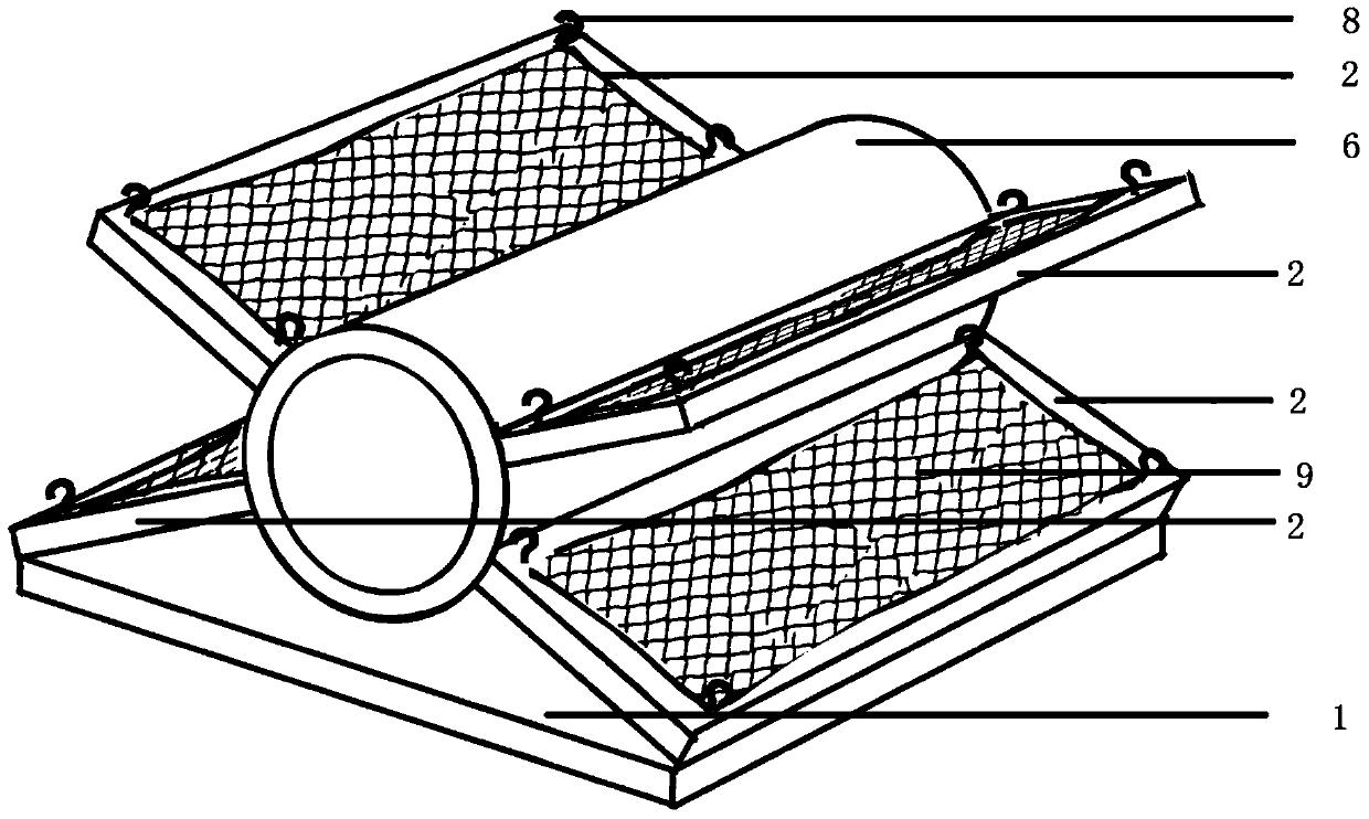 The spawning reef of a fork-shaped hexaline