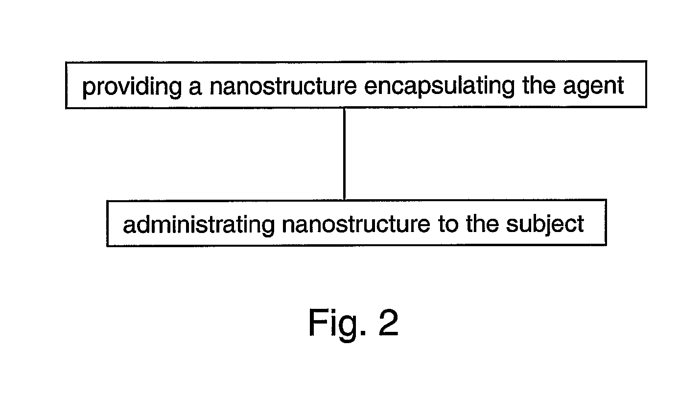 Peptide nanostructures containing end-capping modified peptides and methods of generating and using the same