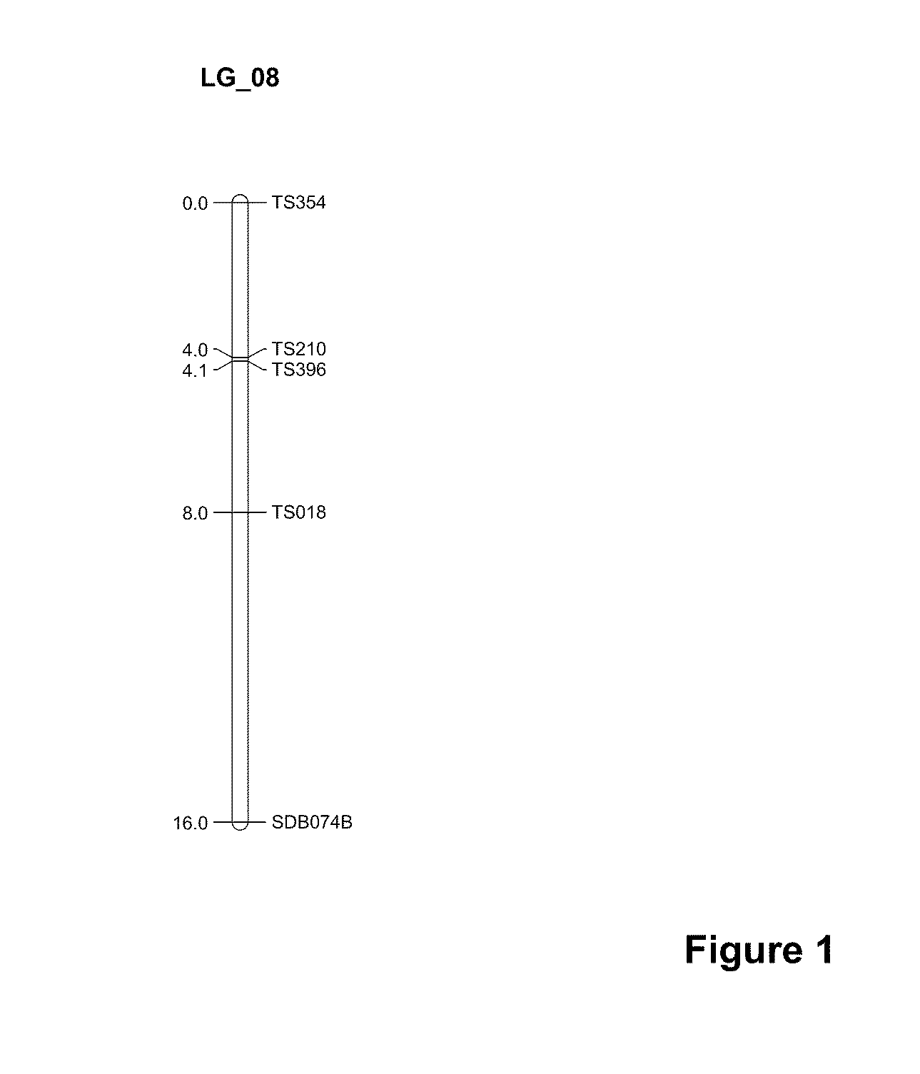 Sorghum fertility restorer genotypes and methods of marker-assisted selection