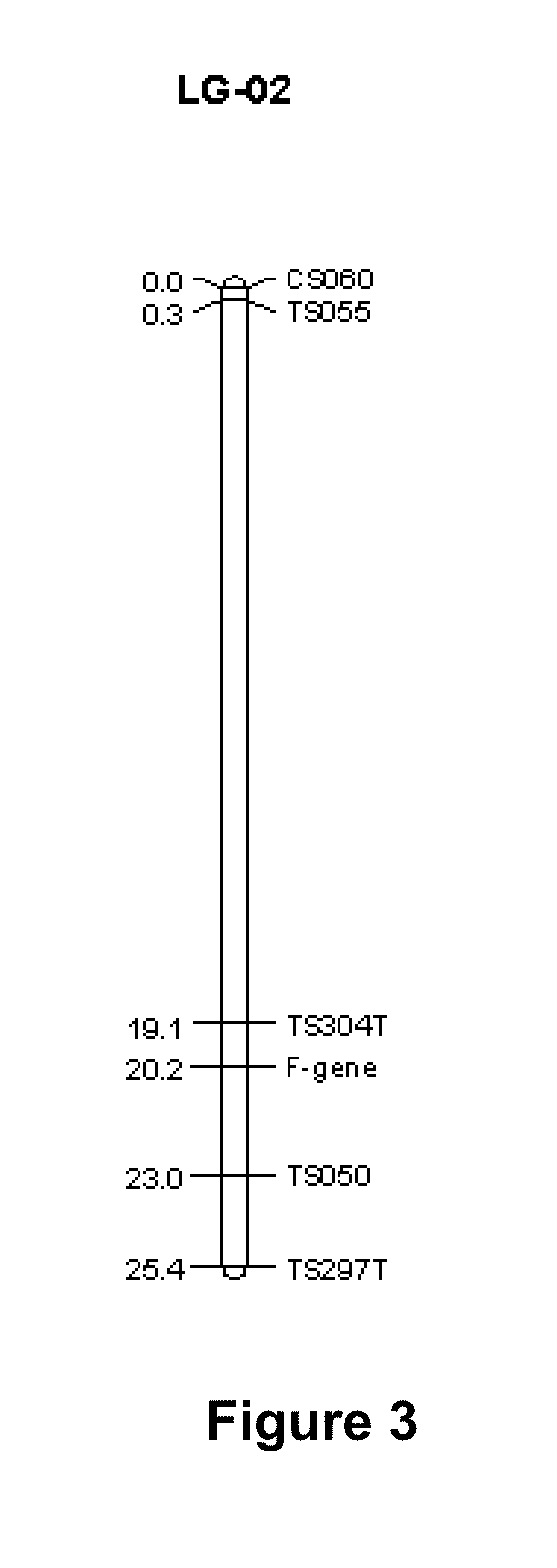 Sorghum fertility restorer genotypes and methods of marker-assisted selection