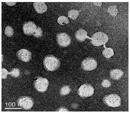 Preparation of lipidosome containing MAP30 protein and entrapping method