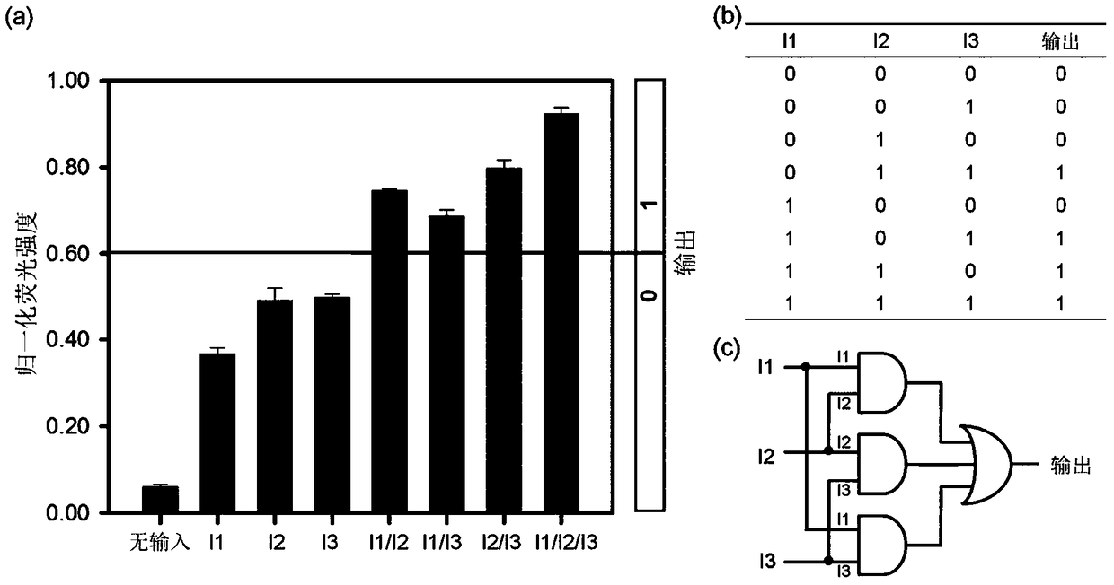 DNA nano tripod-based molecular logic gate for regulating interaction between fluorescent small molecule and graphene oxide and construction method thereof