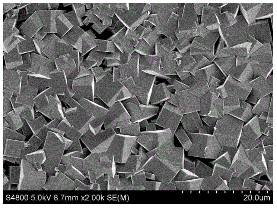 Core-shell molecular sieve coated catalyst and preparation method thereof