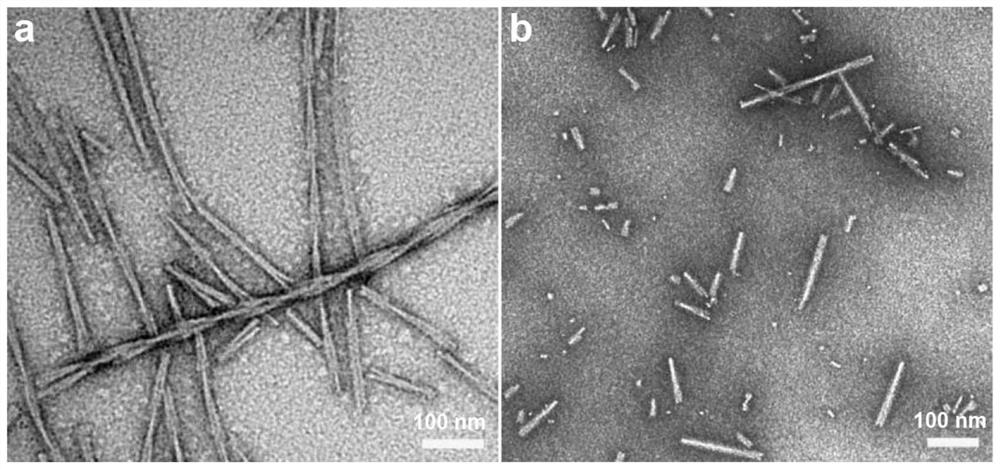 Preparation method of a model of synuclein pathological REM sleep behavior disorder