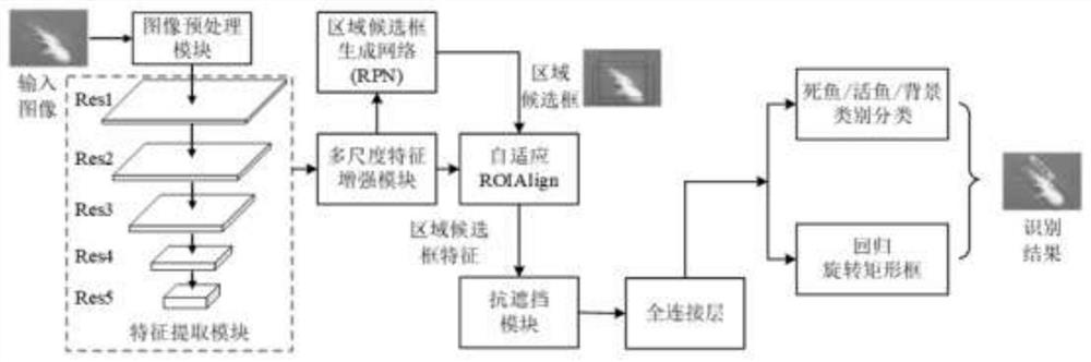 Anti-shielding and multi-scale dead fish identification system and method based on deep learning