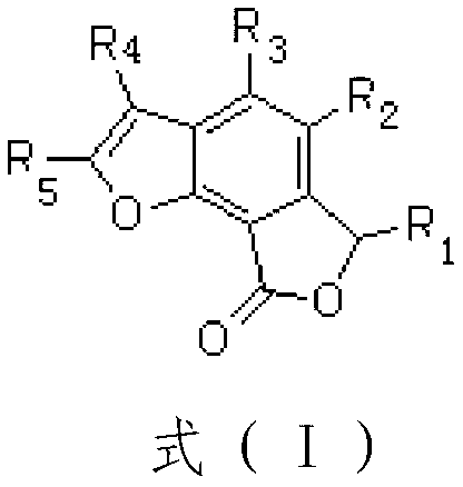 Total synthesis method of natural active product concentricolide and its analogue