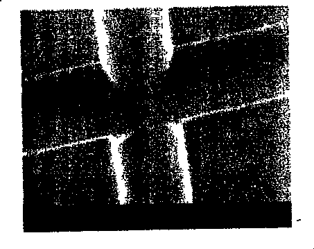 Method for detecting small and dense low density lipoprotein with microflow hole chip electrophoretic separation