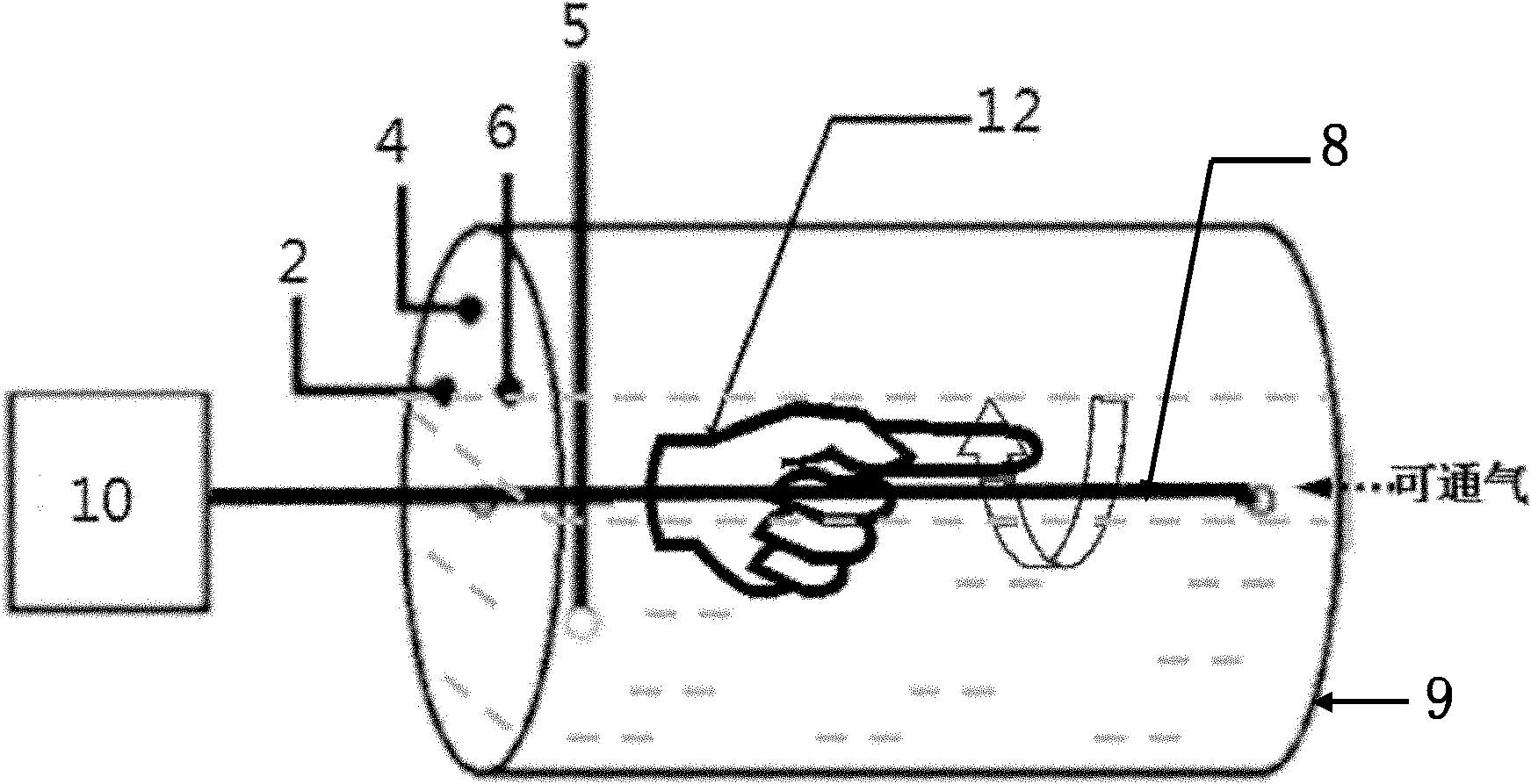 Device and method for dynamically preparing heterocavity bacterium cellulose materials